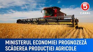 Ministerul economiei prognozeză scăderea producției agricole