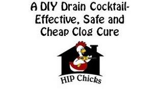 DIY HIP CHICKS - Cheap Safe Drain Cleaner