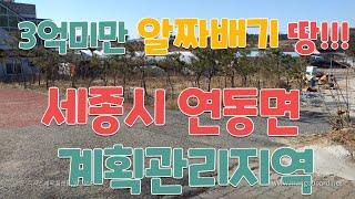 (거래완료)세종시 연동면 노송리 3억미만 알짜배기 땅