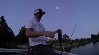 Primary Tackle 5in Swim Minnow