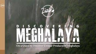 Meghalaya Cinnamon Know More with Zizira