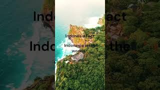 Is Indonesia on your bucket list? Comment below #digitalnomad #travel #traveling #indonesia #shorts