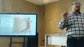 Anatomy of anterior abdominal wall muscles and rectus sheath