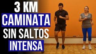 Ejercicios para abdomen y cintura  baja de peso en casa con esta Caminata INTENSA 3 km