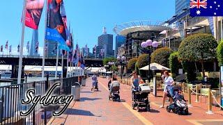 Sydney Spring Walk - Darling Harbour - 【4K 60fps】