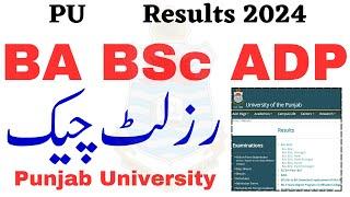 BA BSc ADP Results 2024 PU | ADP Result 2024 PU | ADA ADS ADC Results 2024 PU