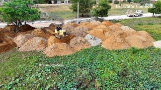 Full Processing Completed 100% Landfill By Two Bulldozer Pushing Dirt And 5Ton Truck Unloading Dirt