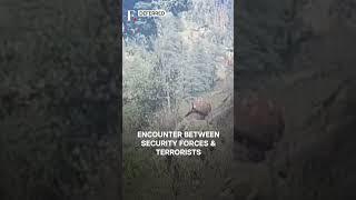 J&K: Gunfight In Kishtwar, Nearly 4 Terrorists Trapped | Subscribe to Firstpost | N18G