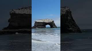 Beach Day at Natural Bridges State Beach
