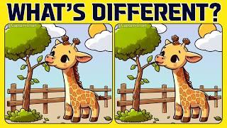 Spot the 3 Differences | Brain Workout 《A Little Difficult》