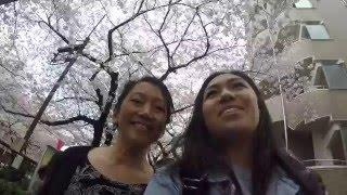 Cassie Takes Japan 日本 | Vlog 1