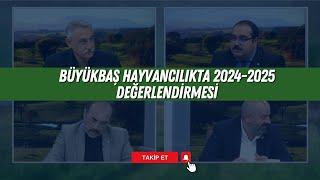 BÜYÜKBAŞ HAYVANCILIKTA 2024-2025 DEĞERLENDİRMESİ | YENİ NESİL HAYVANCILIK