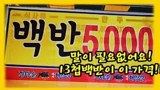 5천원에 즐기는 13첩 백반 맛집을 소개합니다.