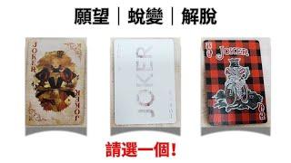 CC字幕｜占卜你的願望～蛻變～解脫（這裡有重要訊息給你‼️）