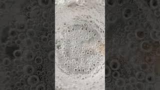 May you All Have a Bubbly New Year  #youtubeshorts #2022 #shortvideo #bubbles #creation #subscribe