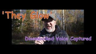 Bigfooter Gary Ep. 98  -They Glow (Disembodied Voice)