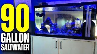 90 Gallon Saltwater Tank Setup - Tons of Neptune & Simplicity!