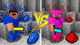 MINECRAFT - NOOB VS PRO: LAPIS LAZULI or REDSTONE BATTLE in Minecraft