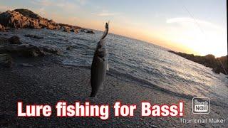 Lure fishing for bass! North Devon fishing