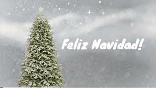 Feliz Navidad! Merry Christmas!  Felicitación de Navidad Konmegan 