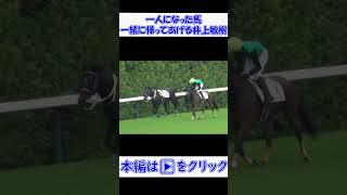 #落馬 #放馬一人になった馬を厩務員の所まで一緒に帰ってあげる#井上敏樹 騎手 現地映像