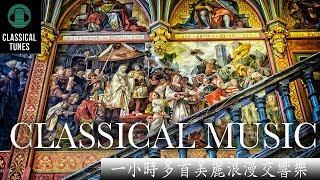 [HD無廣告版] 一小時多首美麗浪漫交響樂欣賞 - ONE HOUR CLASSICAL INSTRUMENTAL MUSIC