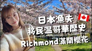 日本大量漁夫移民【溫哥華Richmond】歷史：漁人碼頭Fisherman's Wharf罐頭工廠Gulf of Georgia Cannery日本品種櫻花Cherry Blossom