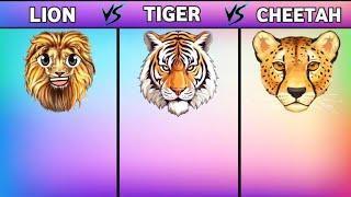 Lion Vs Tiger Vs Cheetah Who will win⁉️|| Comparision Video|| @MrFactobee #animals