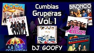 DJ GOOFY - Cumbias Gruperas Video Megamix 1