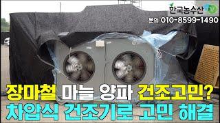 [한국농수산TV] 장마철 마늘 양파 건조고민? 차압식 건조기로 고민 해결