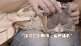 终于有人做了帮猫猫剪指甲的教程了...