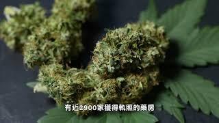 【天下新聞】奧克拉荷馬州: 選民對娛樂用大麻投反對票 Oklahoma: Voters vote no to recreational marijuana