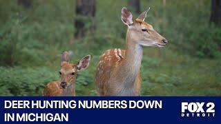 Michigan's deer hunting problem isn't going away