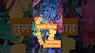 #Tulsi Vivah#pradeepmishrajikeupay #yt shorts#bhaktidhara#youtubeshorts