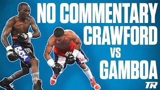 Listen To The PUNCHES By Terence Crawford Here | NO COMMENTARY