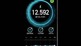 StepsApp Pedometer - Step Counter (App Store)