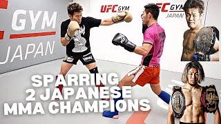 Sparring Japanese Pro MMA Fighters (Pancrase & Shooto Champions)