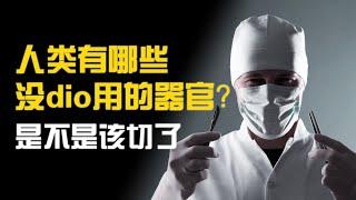 人类有哪些没dio用的器官【绝世天才王大牙】