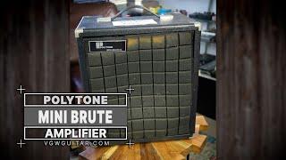 Polytone Mini Brute Amplifier - VGW