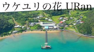 [ 奄美大島 ] ウケユリの花 ／歌：U Ran 　加計呂麻島 勝能上空