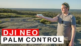 How to use DJI NEO with no phone or RC controller