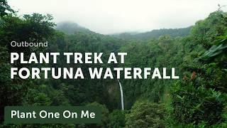 FORTUNA WATERFALL Costa Rica Plant Trek – Ep. 409