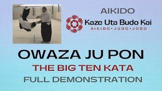 Owaza Ju Pon: Demonstration