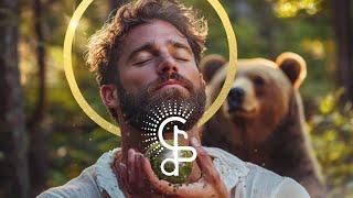 Reclaim Your Power | 396 Hz Bear Spirit Animal & Serpentine | Master Your Boundaries