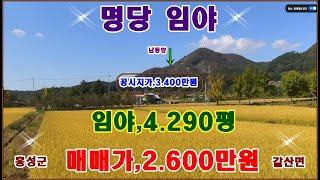 물번,667번) 선산용,명당임야4.290평 시세 절반 값에 매매합니다, 매매가,2.600만원 공시지가,3.430만원 남향, 맹지이며 미립목지로 나옵니다~