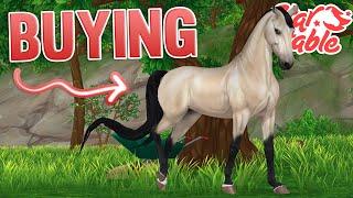 Buying American Saddlebred | Star Stable w/ Jorja