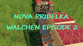 NOVA PRIDELKA  #WALCHEN 2K20 #FARMINGSIMULATOR19 #EPISODE2 #TIMELAPSE