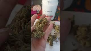 Medical Cannabis UK Review | Hexa02 Lemon Jane