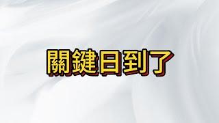 震盪猴市人心慌慌 , 今晚利率關鍵日 置板凳看台積電怎麼演這齣大戲!