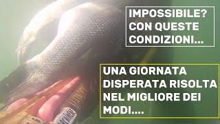 A Pesca nel bassofondo:in apnea. TUTTO INIZIò NEL PEGGIORE DEI MODI... ACQUA TORBIDISSIMA, MA POI..